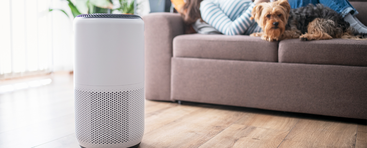 Immunity Machine Air Purifier