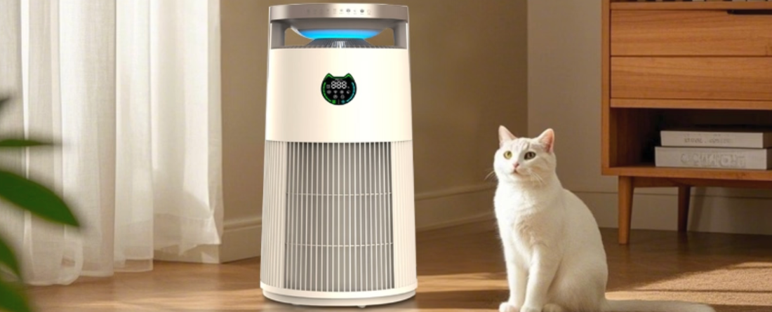 Air Purifier for Dust